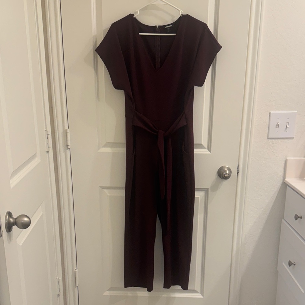 Express Deep Burgundy/Dark Plum Jumpsuit